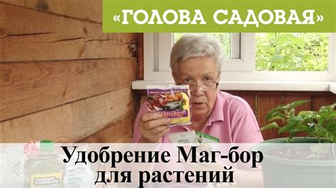 Голова садовая - Удобрение Маг-бор для растений - YouTube
