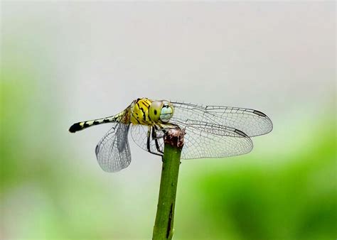 Full Frontal Nudity Photos, Download The BEST Free Full Frontal Nudity