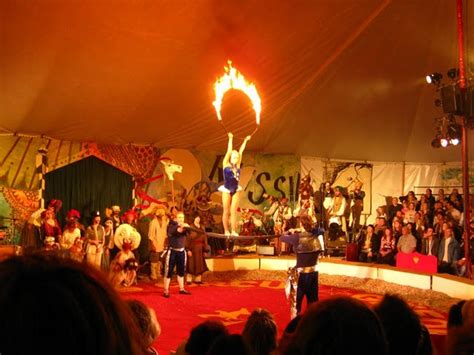 real  circus  love  womans blog