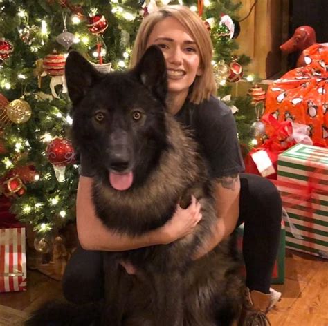 White Wolf : Wolf loving cops find a cuddly wolf dog and reunite her ...