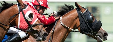 Vaal Racecourse Info | Tote