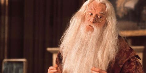 harry potter  hidden details  albus dumbledores costumes