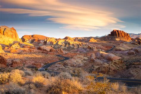 nevada desert landscape desert landscaping services  las vegas