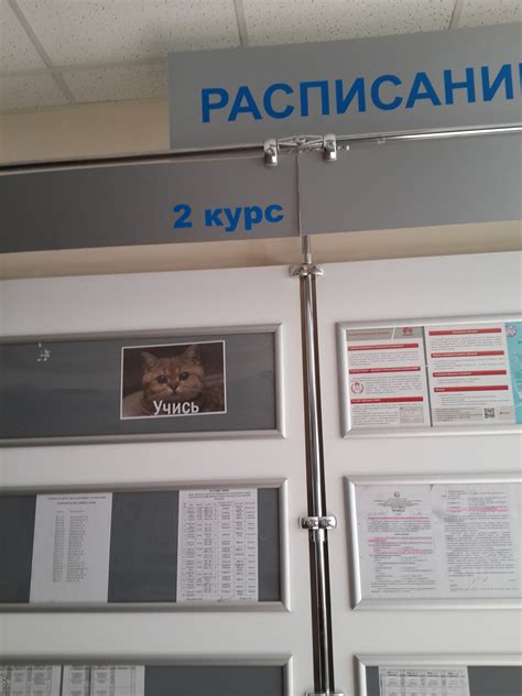 Учись | Пикабу