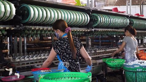 2,099 Silkworm Stock Video Footage - 4K and HD Video Clips | Shutterstock