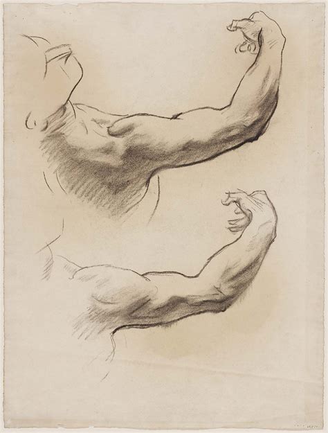 Drawings by Sargent | John singer sargent, Anatomy art, Life drawing