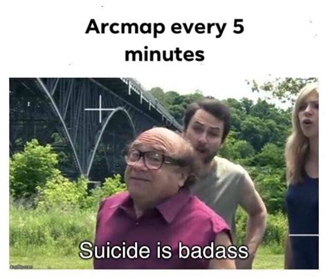 arcmap meme rgis