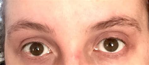 messy eyebrows   rfixedeyebrows