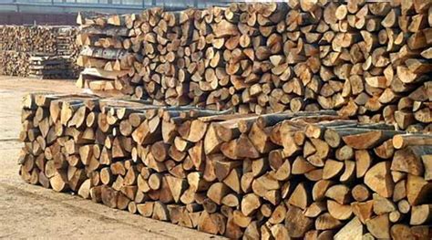 ИЗВЕСТУВАЊЕ: Започнува пријавувањето за огревно дрво во грејната сезона ...