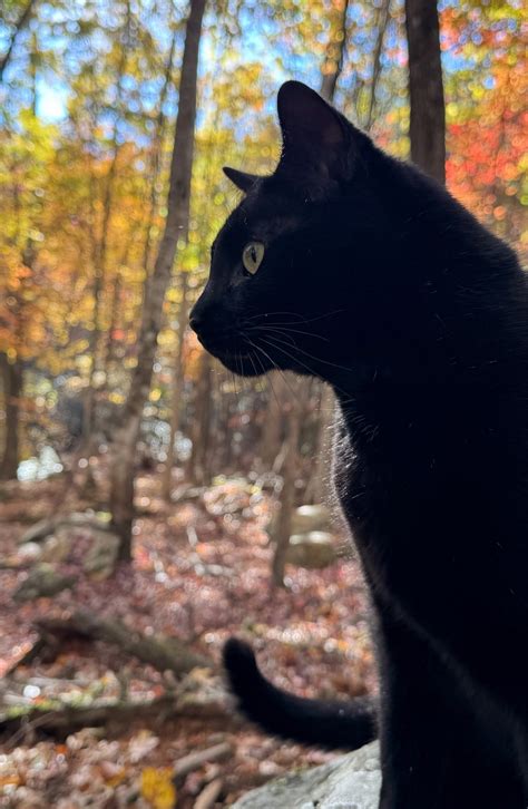 Gallery | teagan-page | VSCO