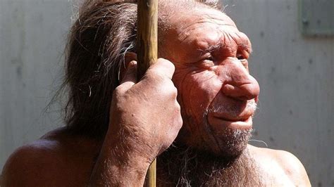 Neanderthals Had Bigger Brains Than Modern Humans — Why Are We Smarter ...