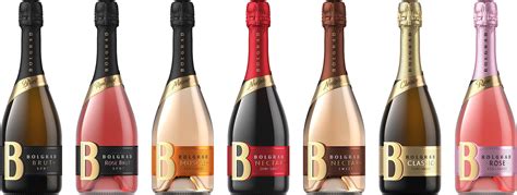 BOLGRAD SPARKLING WINE :: Behance