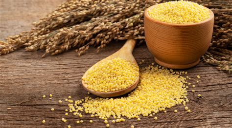Know what is millet and how its nutritious benefits can transform your ...