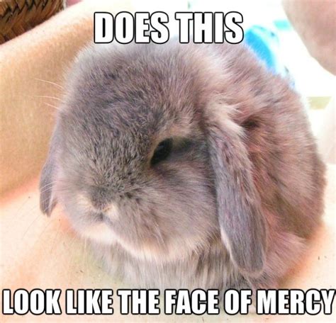 Funny Quotes About Mercy. QuotesGram