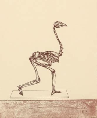 Specimen copy- the featherless biped; Barry CLEAVIN; 1993; 1323 | eHive