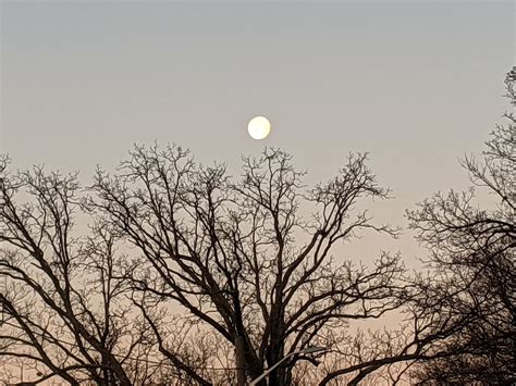 Substance misuse - who is affected? — Everyday Transcendence