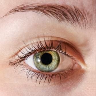 Trial Repairs Irreversible Corneal Damage With Stem Cell Therapy ...
