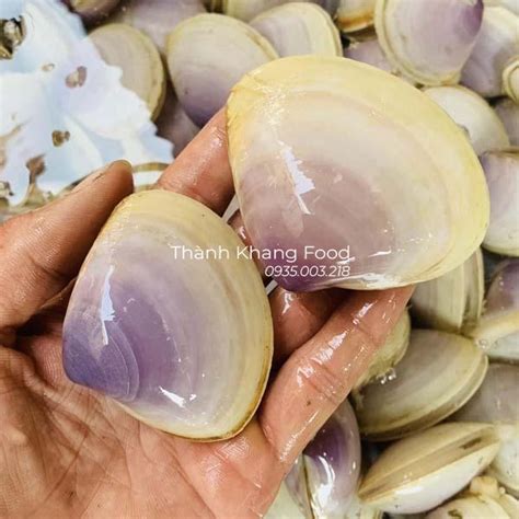 ngheu tim ngao tim hang song tuoi ngon gh da nang tq