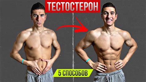 КАК ПОДНЯТЬ ТЕСТОСТЕРОН НАТУРАЛЬНО (5 СПОСОБОВ!) - YouTube