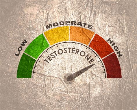 Got Testosterone? Part 2: The Primary Causes of Testosterone Inhibition