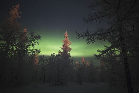 Polar Lights Org