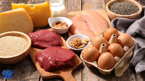Protein Power: The Importance of Fueling Your Muscles with Protein