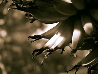 Nature's Blessing | JPL Nitro IN/OUT :( | Flickr