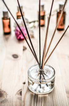 Free Images : tree, water, nature, grass, blossom, plant, bunch, lawn ...