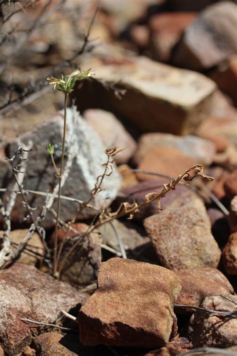 Inside the Haynesville Correctional Center secrets rarely discussed 4