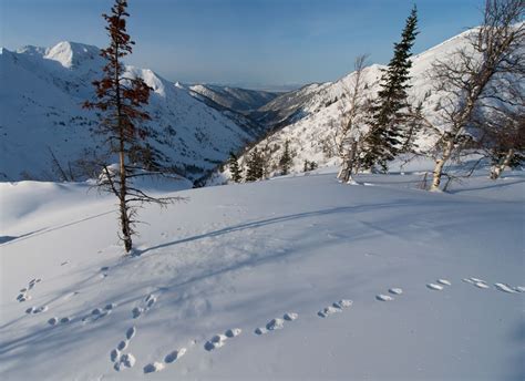 Медвежий угол / Горы Мира.Сибирь / Mountain.RU