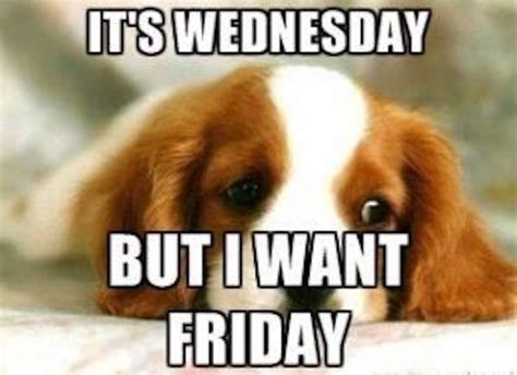 The 14 Perfect Wednesday Memes