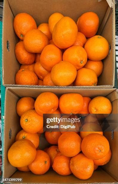 13 Iyokan Stock Photos, High-Res Pictures, and Images - Getty Images