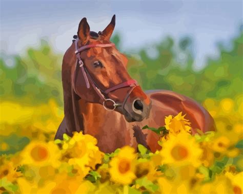 bay horse  sunflower field diamond painting paintbydiamondsart