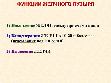 Строение печени и поджелудочной железы - online presentation