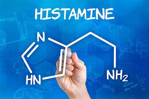 Stevenson 2010: The Role of Histamine Degradation Gene Polymorphisms in ...