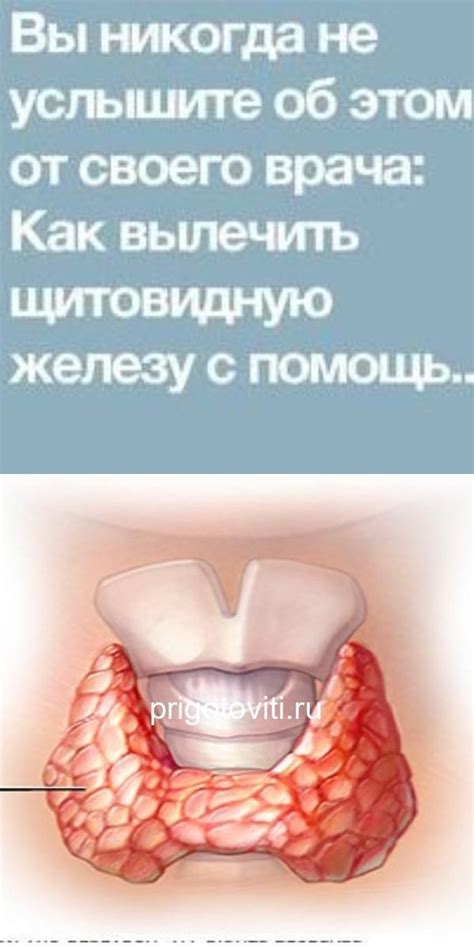 Вы никогда не услышите об этом от своего врача: Как вылечить щитовидную ...