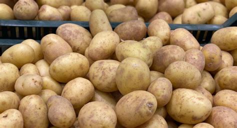 Potatoes from the new harvest at record-low prices in Georgia in ...