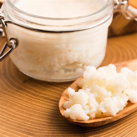 How To Freeze Milk Kefir Grains - Keeper of our Home