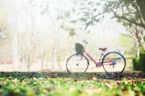 Best Outdoor Bike Storage and Sheds in 2021 - Complete Guide