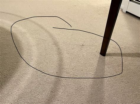 [Tenant US-NY] Is this normal wear and tear? I’m not sure if vacuuming