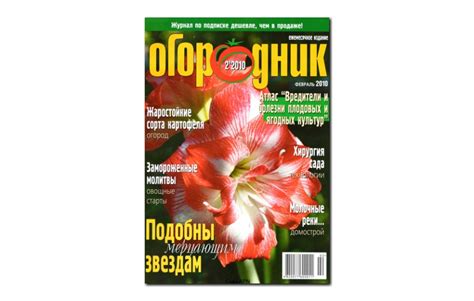 Журнал «Огородник» - Журналы и газеты - ОГОРОДная библиотека - OGOROD ...