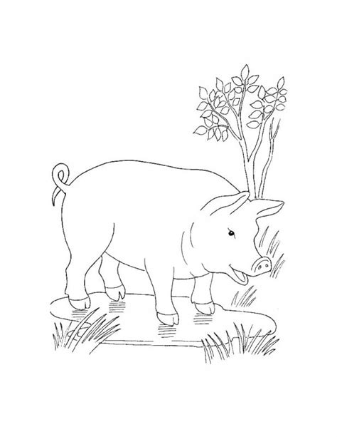 Desene cu Animale Domestice de colorat, imagini și planșe de colorat cu ...