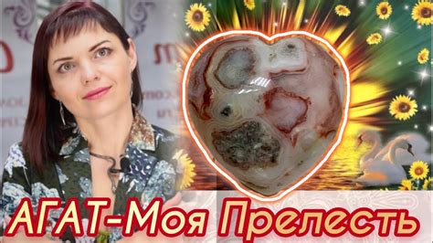 АГАТ🪸МОЯ ПРЕЛЕСТЬ☀️Моховой🎄Сапфирин🍊Пейзажный🌍Бразильский🚌Ботсвана🕊️ ...