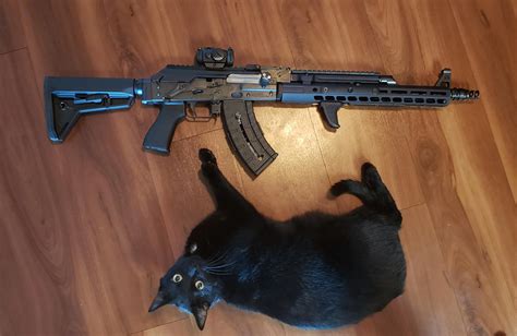 Finally finished my Zastava M70 build. Bonus cat for scale. | Scrolller