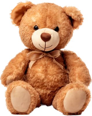 Teddy PNGs for Free Download