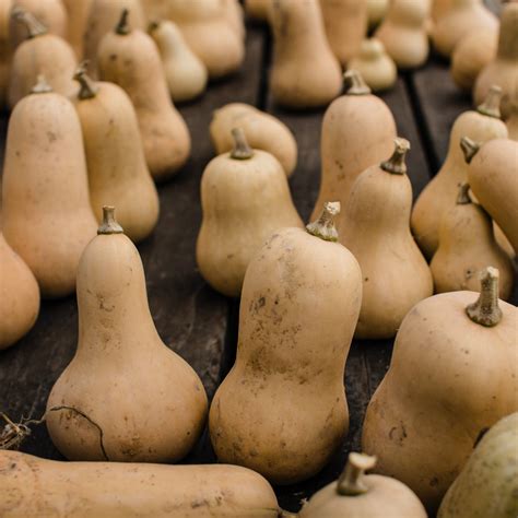 Organic Butternut Pumpkin - The Wholefoods Crew