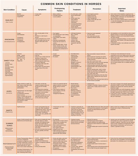 Recognizing & Treating Common Horse Skin Conditions