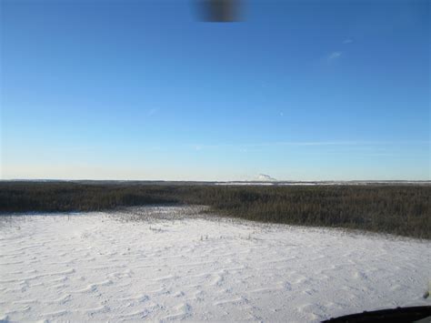 Pictures of Jamie Summers