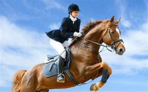 Show Jumping Wallpapers - Wallpaper Cave