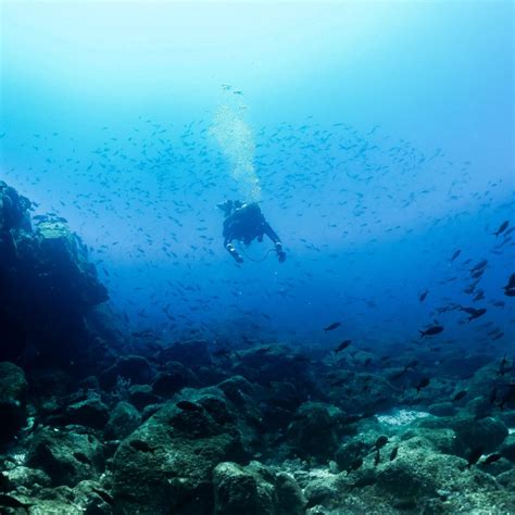 Loreto Bay National Park - Blue Nation Baja